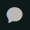 Synapse Chat